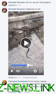 Жителей Киева перепугала огромная змея