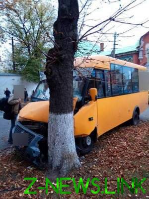 ДТП в Полтаве: пассажирский автобус врезался в дерево