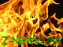 В Донецкой области мужчина заживо сгорел в своей квартире