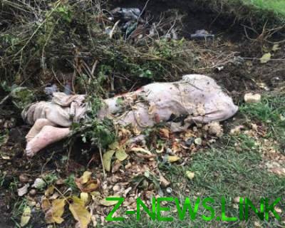 На Киевщине в канаве найдено тело женщины, завернутое в ковер