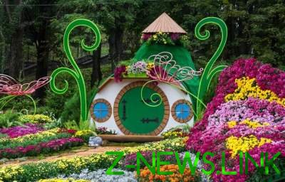 В Киеве началась масштабная выставка хризантем