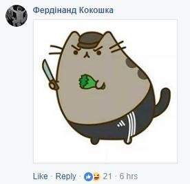 Соцсети высмеяли предложение назвать киевскую улицу в честь котика