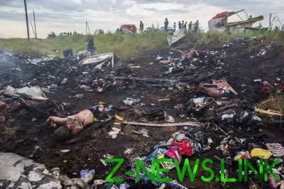  Крушение Boeing-777 под Донецком: раскрыты важные детали расследования 