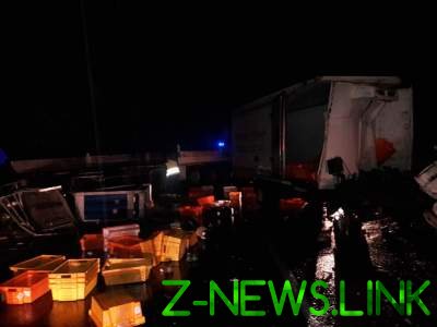 Смертельное ДТП на Львовщине: столкнулись MAN и BAS Trucks