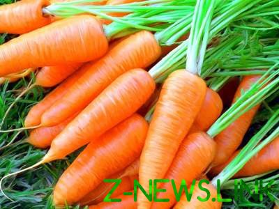 Названы заболевания, при которых рекомендуется есть морковь