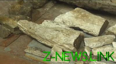 В Запорожской области нашли останки мамонта. Видео