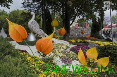 В Киеве проходит фестиваль хризантем: опубликованы яркие фото