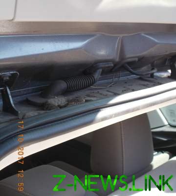 На Херсонщине огромная змея уютно устроилась в багажнике авто