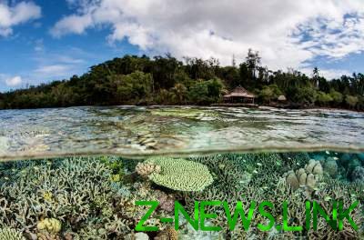 Виртуальное путешествие на Соломоновы острова. Фото	