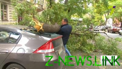 Ураган в Одессе: деревья падают прямо на машины 