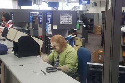 В США чиновник явился на работу в костюме ленивца