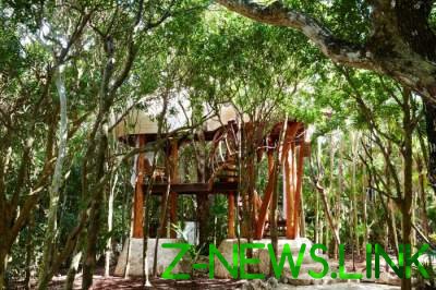 Уникальная вилла, построенная посреди джунглей на дереве. Фото