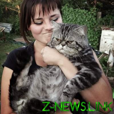 Само презрение: Сеть позабавили фотографии эмоциональных котов
