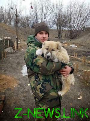 Сеть в восторге от «пушистых» защитников границ Украины