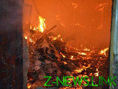 Масштабный пожар в Николаеве: огонь тушили более трех часов