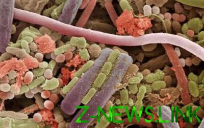 Ученые научились обманывать бактерии