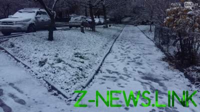 Во Львове выпал первый снег. Фото