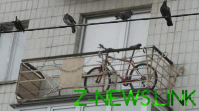 Поворот судьбы: в России у вора украли ворованный велосипед