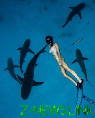Бесстрашная девушка сумела подружиться с акулами. Фото