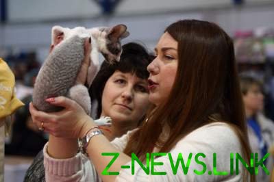 В Киеве открылась грандиозная выставка котов 