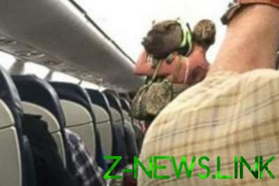 Пассажирку сняли с самолета из-за агрессивности ручной свиньи
