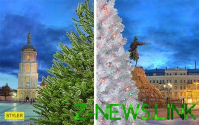Вокруг главной новогодней елки страны разгорелся спор