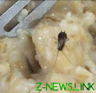 Скандал в Харькове: курсантов военного вуза кормят едой с насекомыми