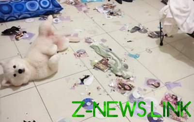 В Тайване собака уничтожила коллекцию фильмов для взрослых  