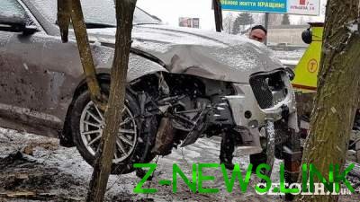"Элитное" ДТП в Киеве: Jaguar снес четыре дерева