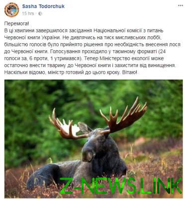 Украинским охотникам запретили отстреливать лосей