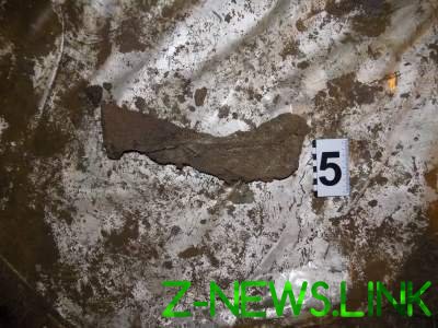 Жуткая находка: в Одесской области обнаружили два мужских тела