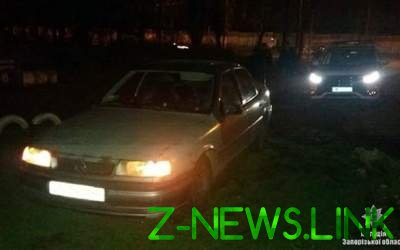 В Бердянске Opel сбил женщину с ребенком: водитель пытался скрыться