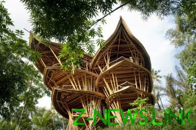 Девушка своими руками построила дворец из бамбука. Фото