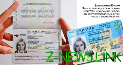 Кому выдадут биометрический паспорт бесплатно