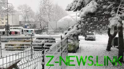 Мощные снегопады парализовали Словакию. Видео