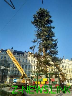 Украинцам объяснили, почему главная новогодняя елка такая "лысая"