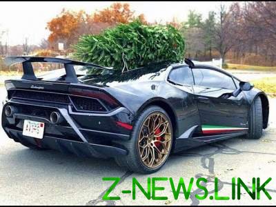 Кадры перевозки новогодней елки на роскошном Lamborghini. Видео