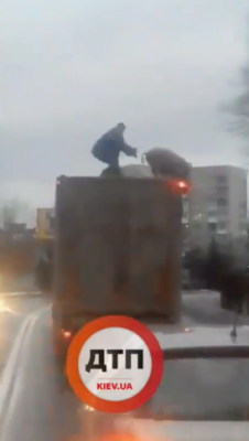 «Бойкот новогоднему столу»: под Киевом свинья залезла на крышу грузовика