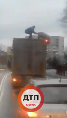 «Бойкот новогоднему столу»: под Киевом свинья залезла на крышу грузовика