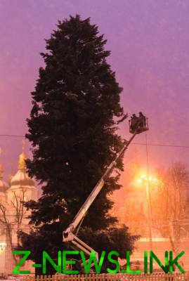 Киевлянам показали "подрихтованную" елку на Софийской площади