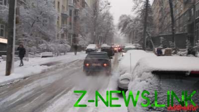 В Киеве дерево упало на припаркованные автомобили