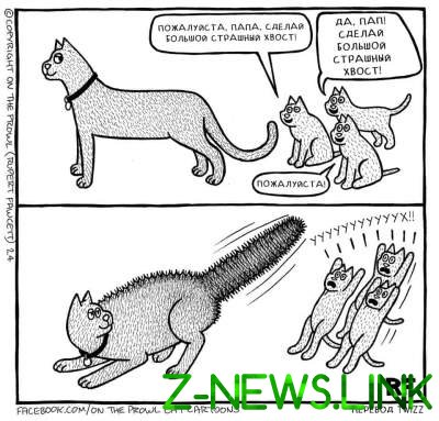 Жизнь глазами котов: невероятно смешные комиксы