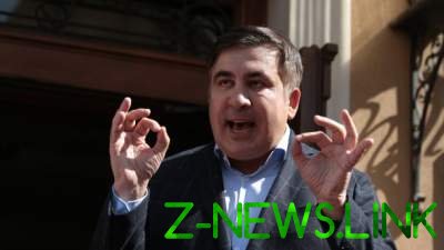 СМИ: Саакашвили получил документы для выезда в Нидерланды