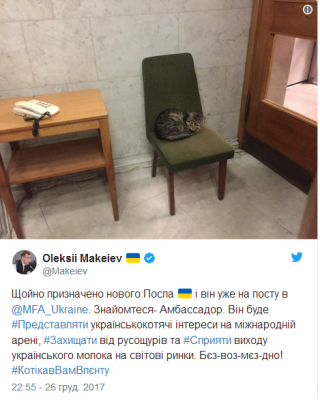 В украинском МИД «трудоустроили» кота Амбассадора