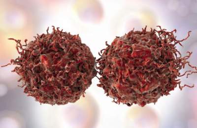 Найден ответ на вопрос почему иммунная система не препятствует раку