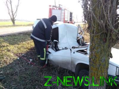 Смертельное ДТП на Херсонщине: Renault въехал в дерево