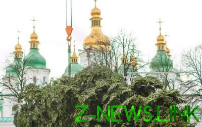 В центре Киева установили главную елку Украины. Видео