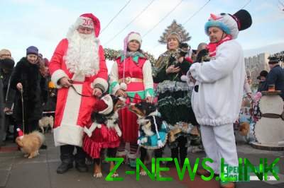 В Кременчуге состоялся новогодний собачий парад: яркие фото