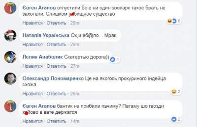 Соцсети высмеяли многозначительное фото пленницы «киевской хунты»