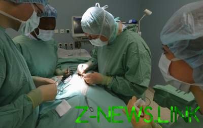 Порошенко одобрил закон о трансплантации органов